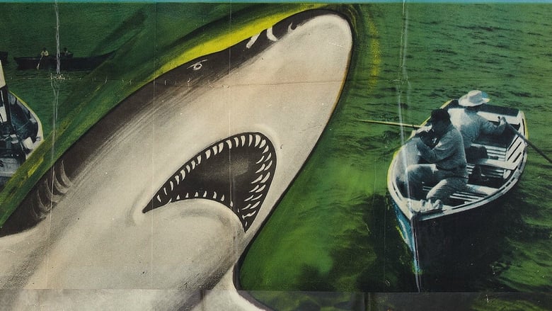 Killer Shark